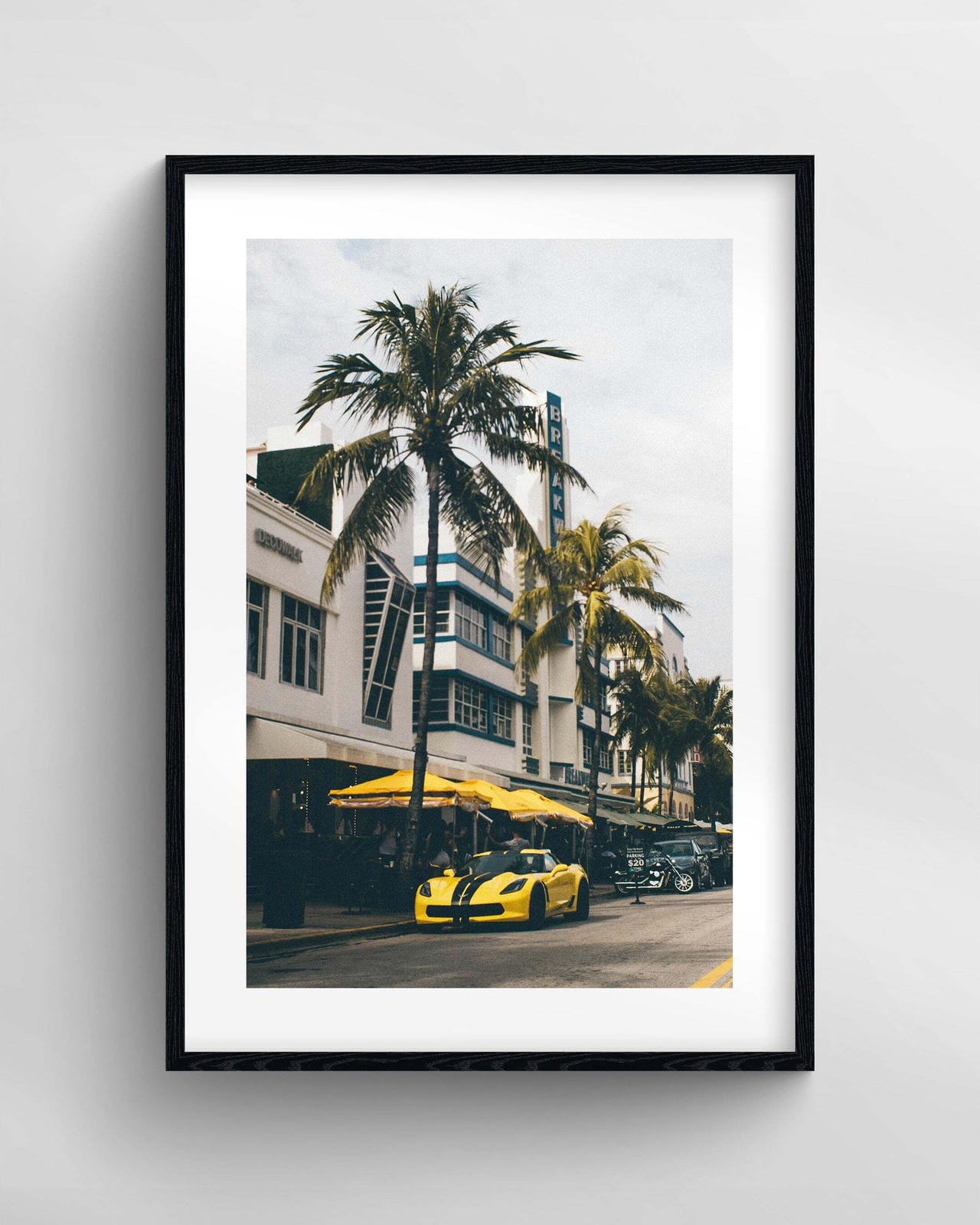 South Beach Vet