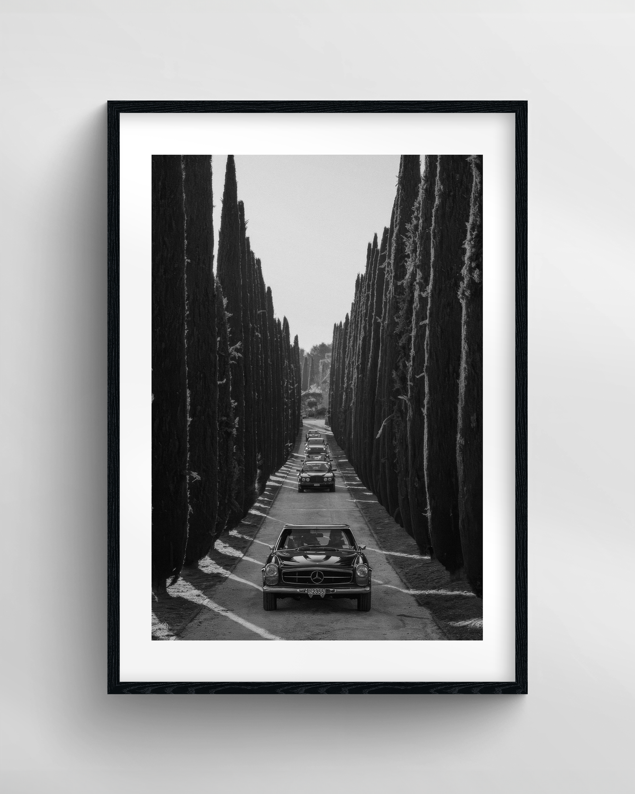 The Avenue